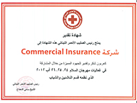 Red Cross - Token of Appreciation